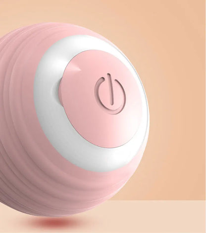 Magic Cat Ball Toy