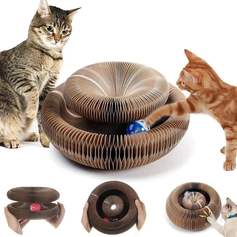 Organ cat scratching board