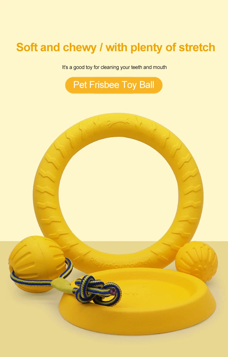 Interactive Pet Toy Ring