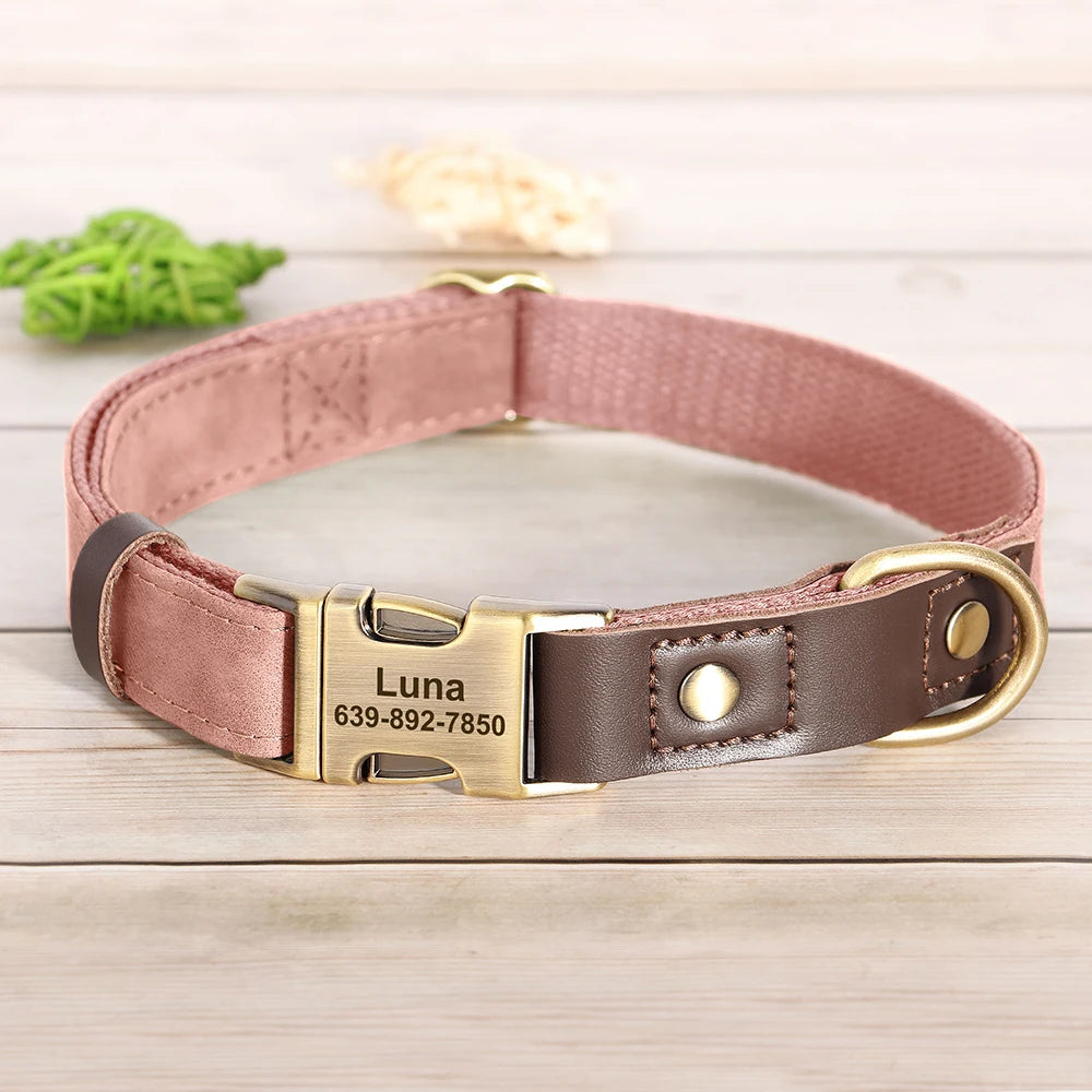 Personalized Dog Collar Leash
