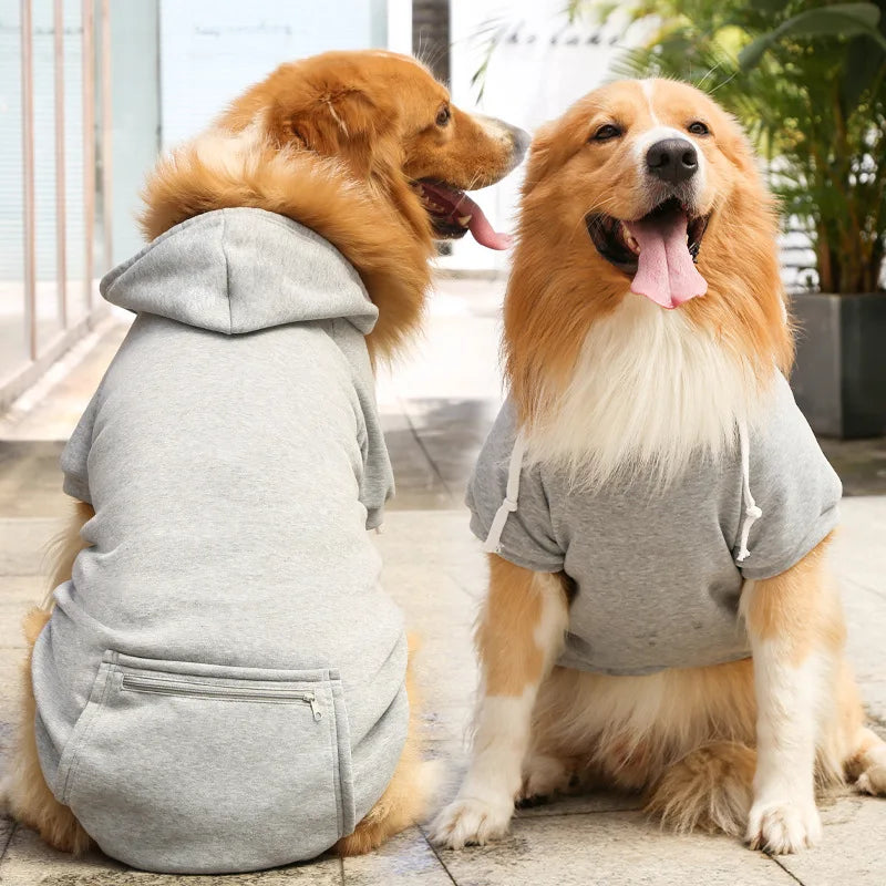Cool Dog Hoodies: Cozy & Trendy Canine Attire