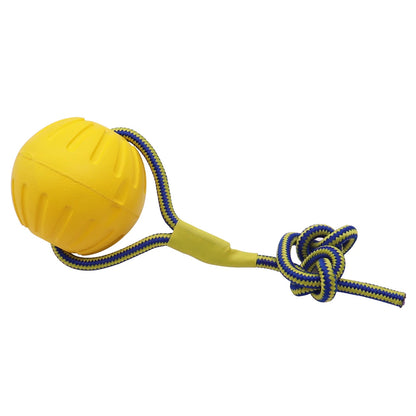Interactive Pet Toy Ring