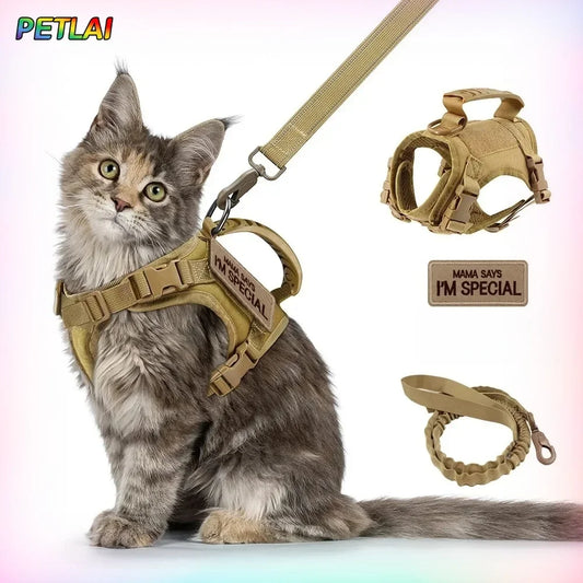 Tactical Cat Harness & Leash Set