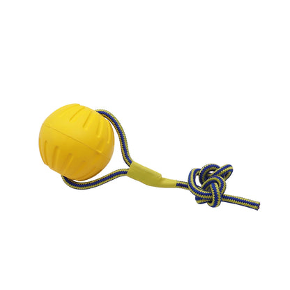 Interactive Pet Toy Ring