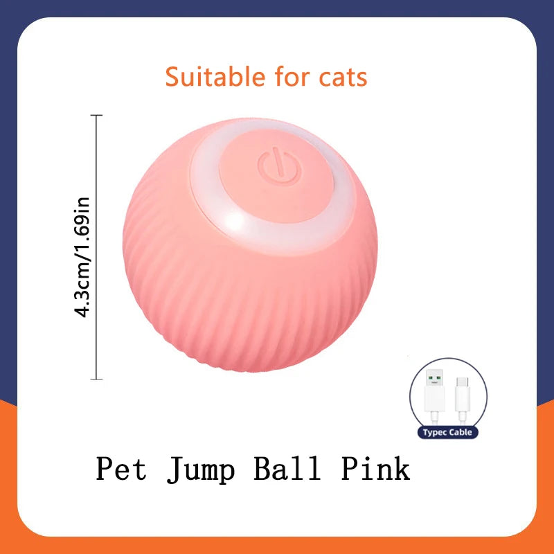 Smart Ball Dog Toys