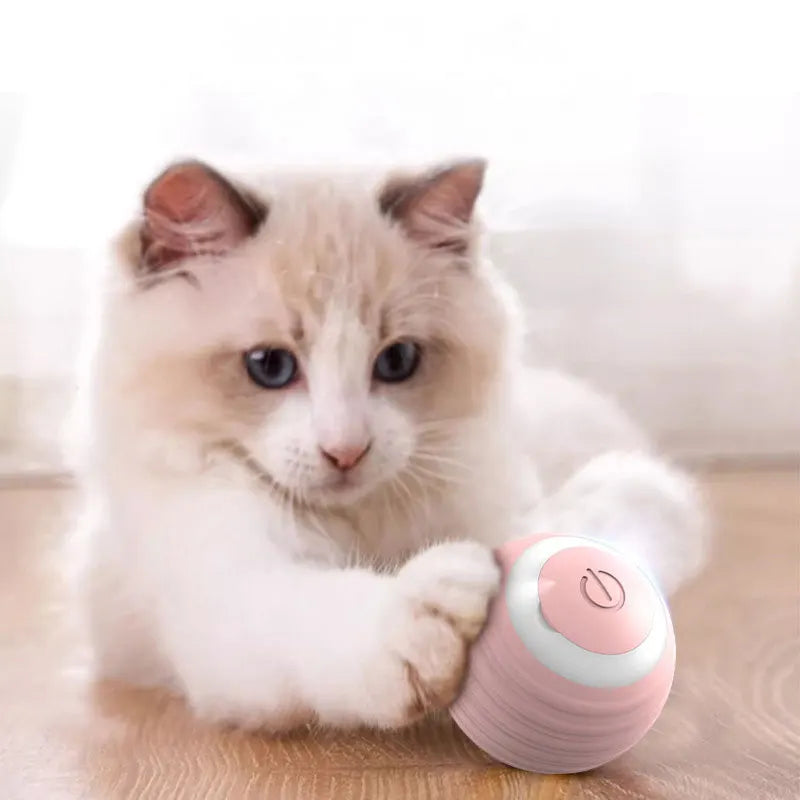 Magic Cat Ball Toy