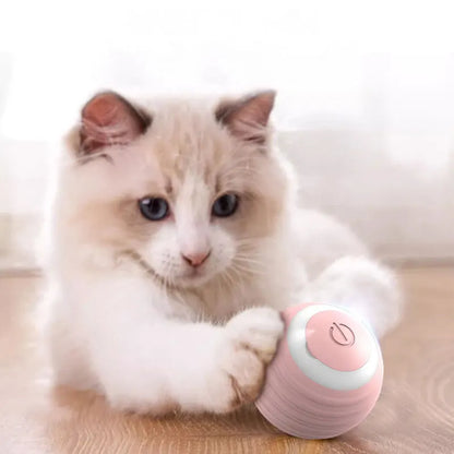 Magic Cat Ball Toy