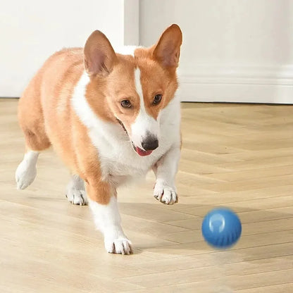 Smart USB Jumping Ball Toy