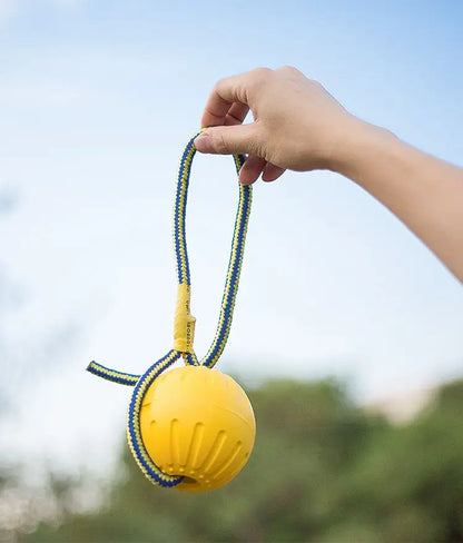 Interactive Pet Toy Ring