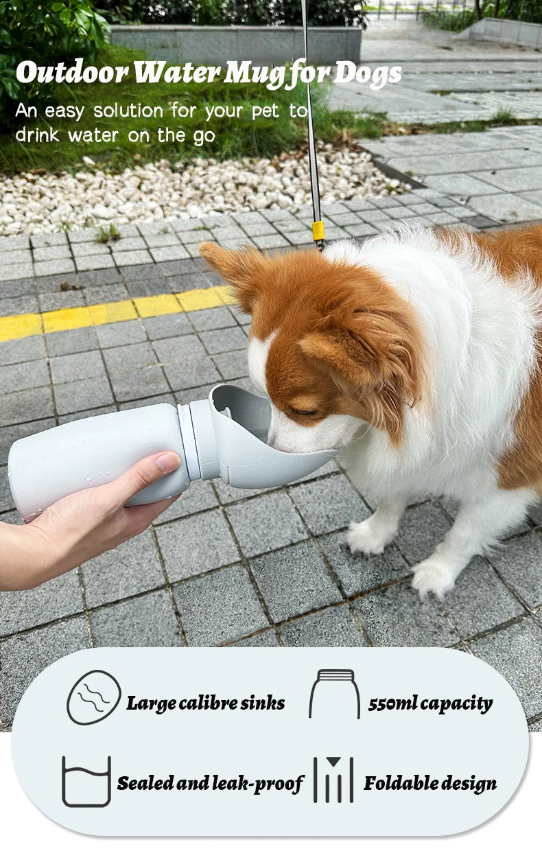 Folding Pet Water Dispenser