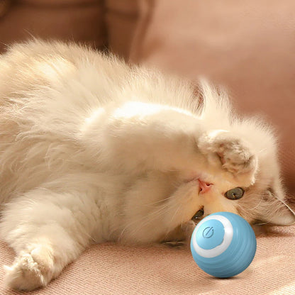 Magic Cat Ball Toy