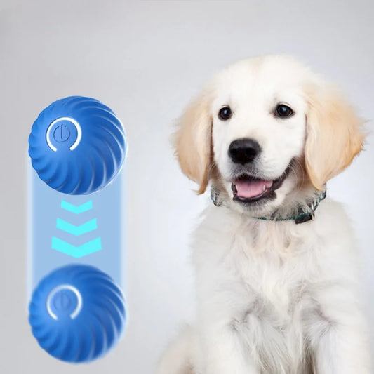 Automatic Interactive Dog Toy Ball