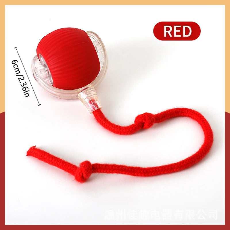 Smart Ball Dog Toys