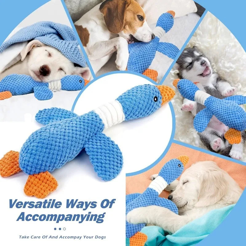Indestructible Cat Dog Toys