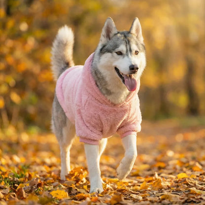 Cozy Dog Hooded Sweatshirt