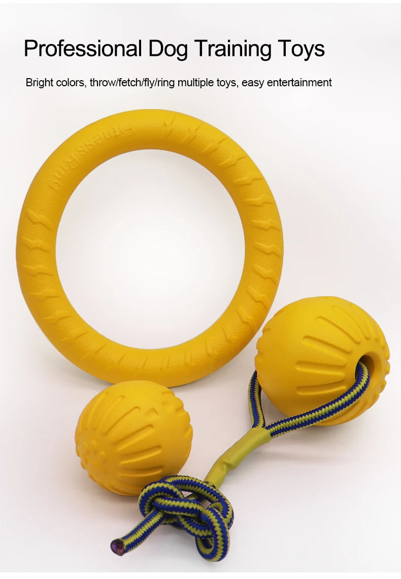 Interactive Pet Toy Ring
