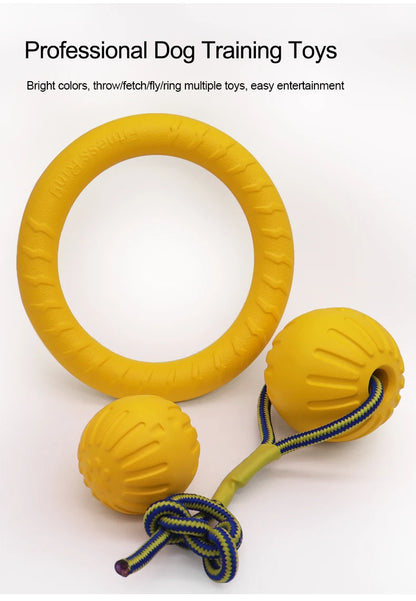 Interactive Pet Toy Ring