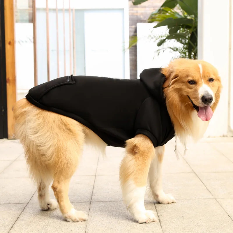 Cool Dog Hoodies: Cozy & Trendy Canine Attire