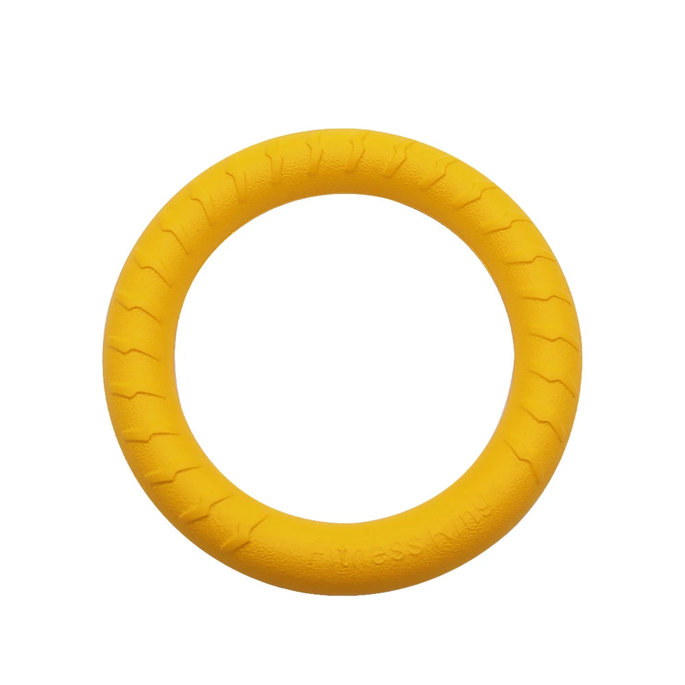 Interactive Pet Toy Ring