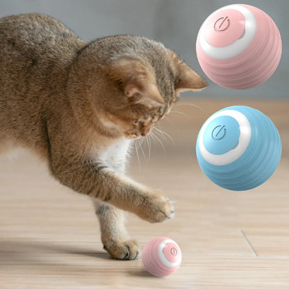 Magic Cat Ball Toy