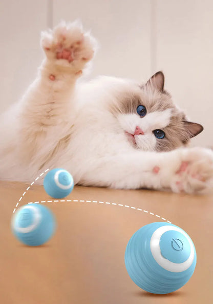 Magic Cat Ball Toy