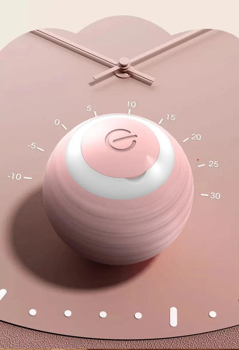 Magic Cat Ball Toy