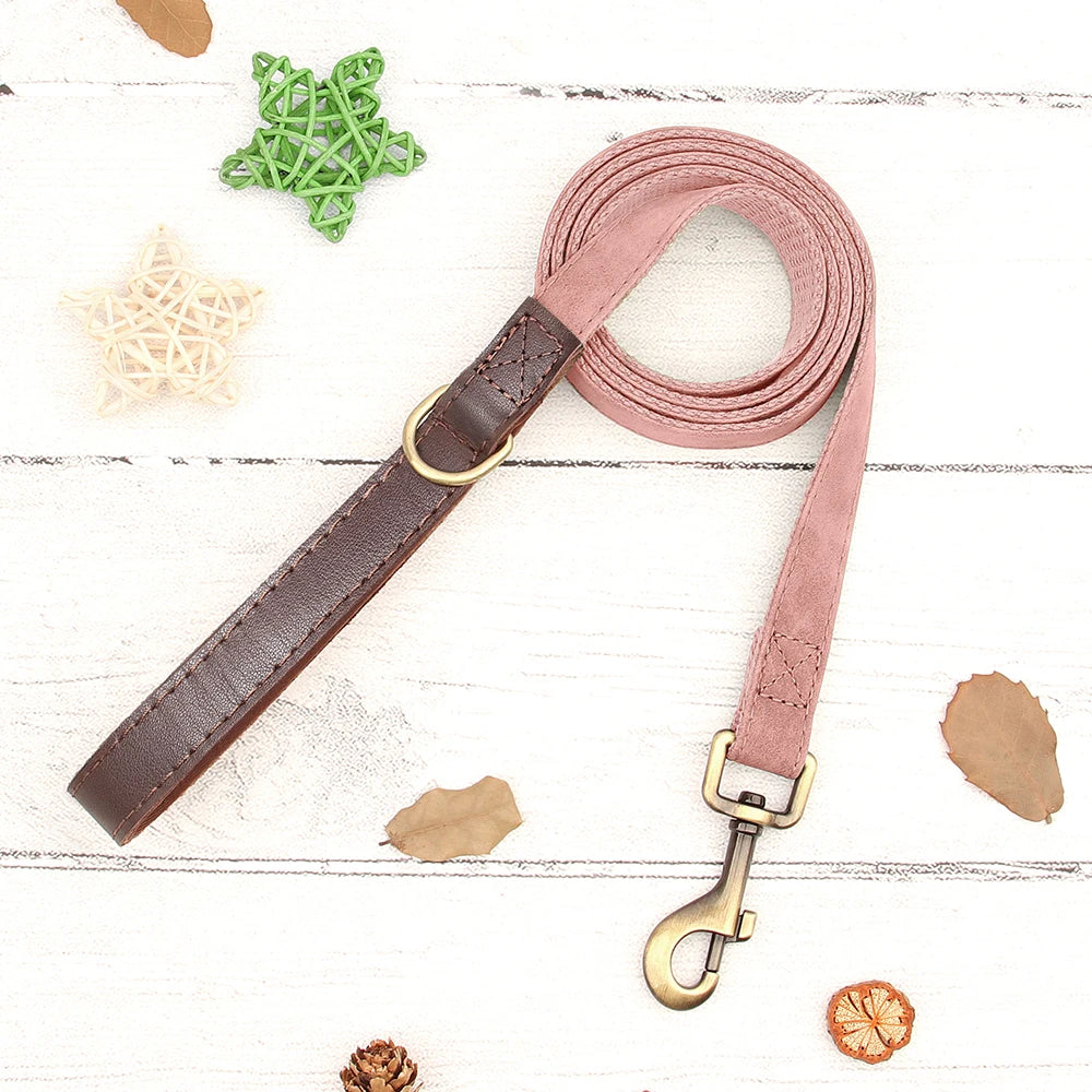 Personalized Dog Collar Leash