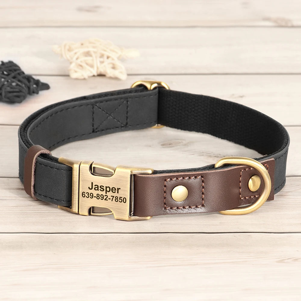 Personalized Dog Collar Leash