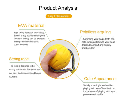 Interactive Pet Toy Ring