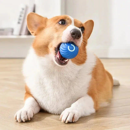 Smart USB Jumping Ball Toy