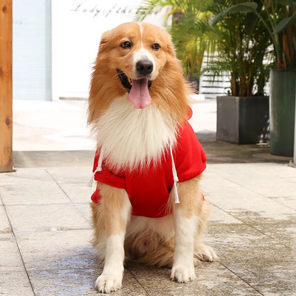 Cool Dog Hoodies: Cozy & Trendy Canine Attire