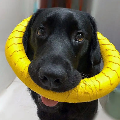 Interactive Pet Toy Ring