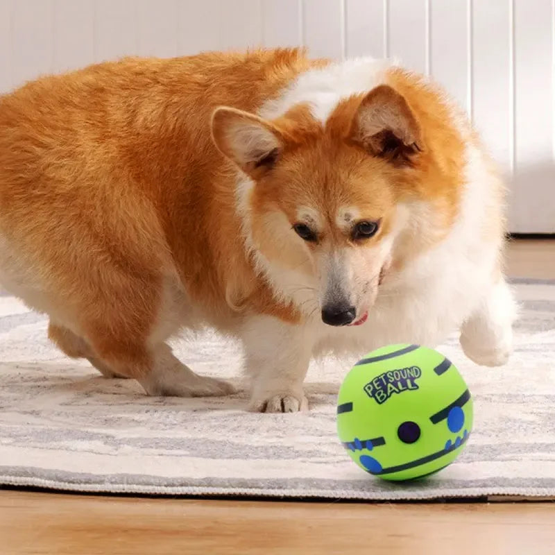 Giggling Glow Ball for Dogs