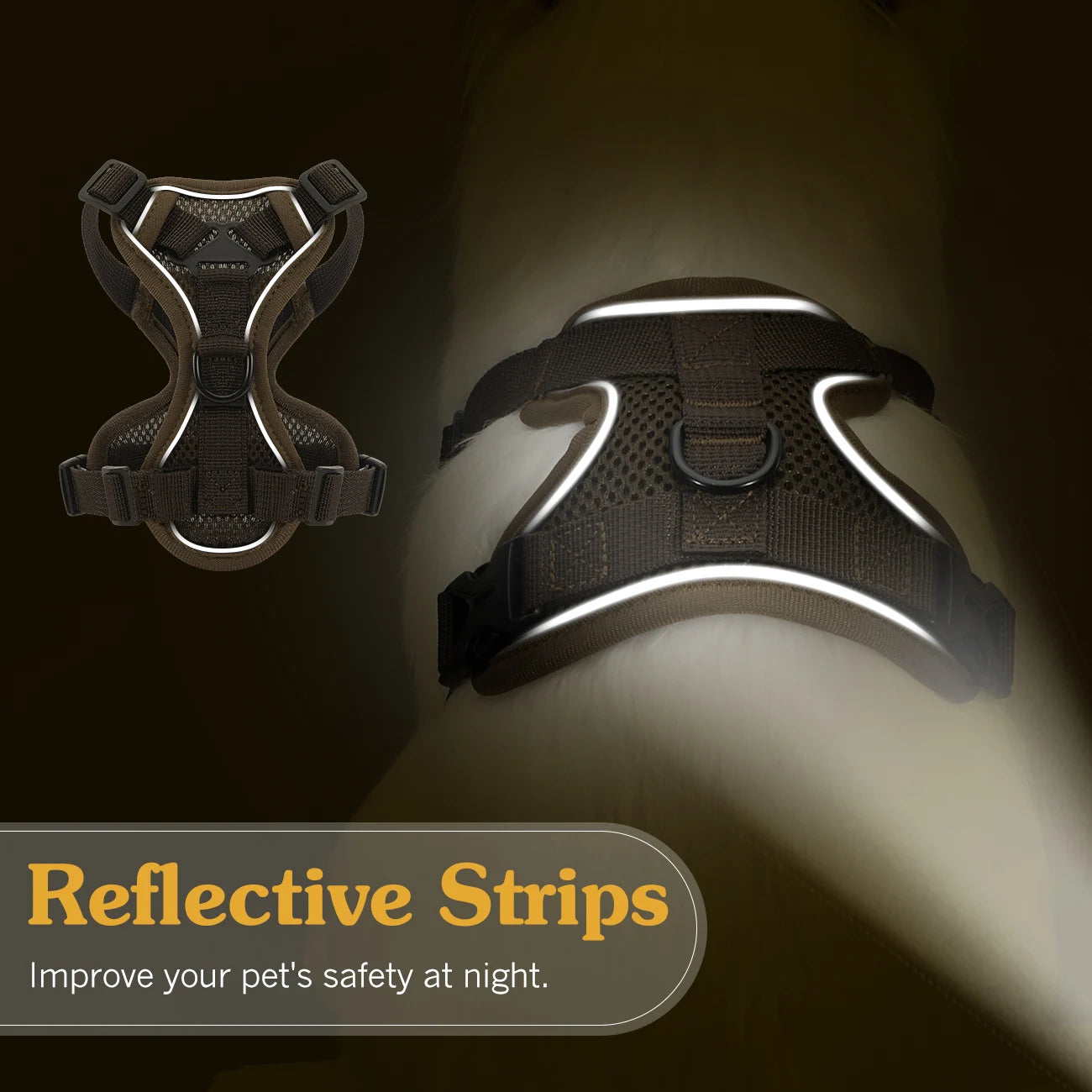 Cat Harness and Leash Set