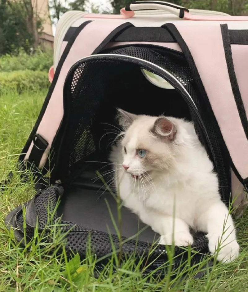 Expandable Cat Carrier Backpack