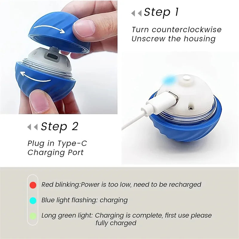 Smart Ball Dog Toys