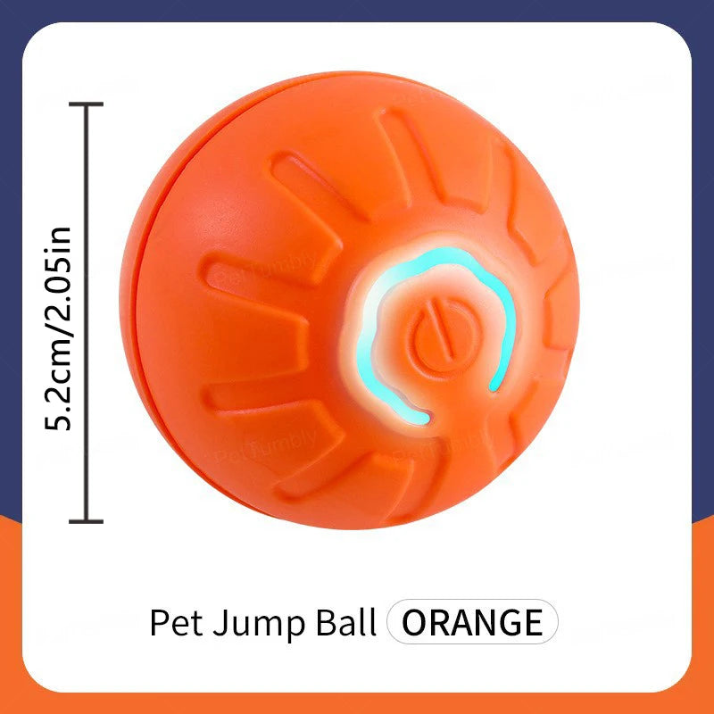 Smart Ball Dog Toys
