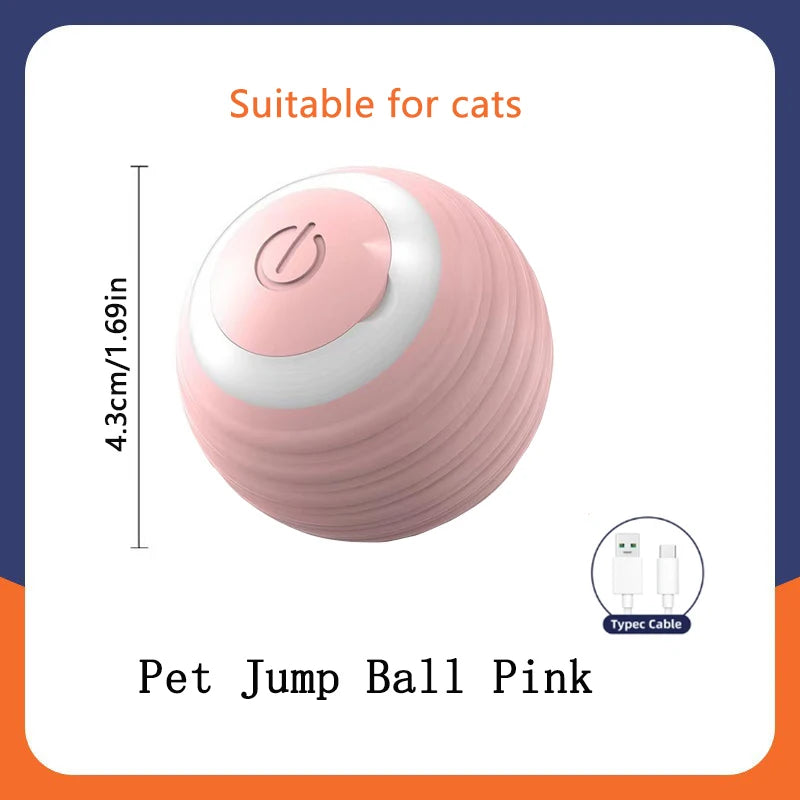 Smart Ball Dog Toys