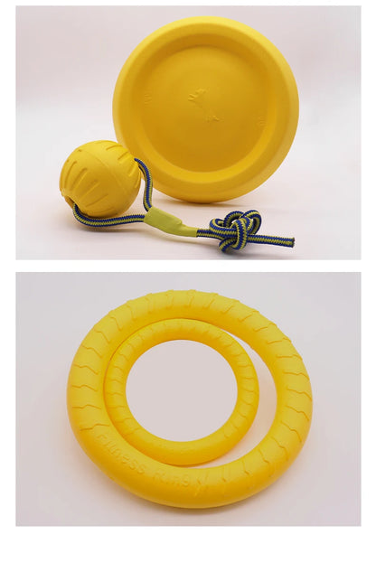 Interactive Pet Toy Ring
