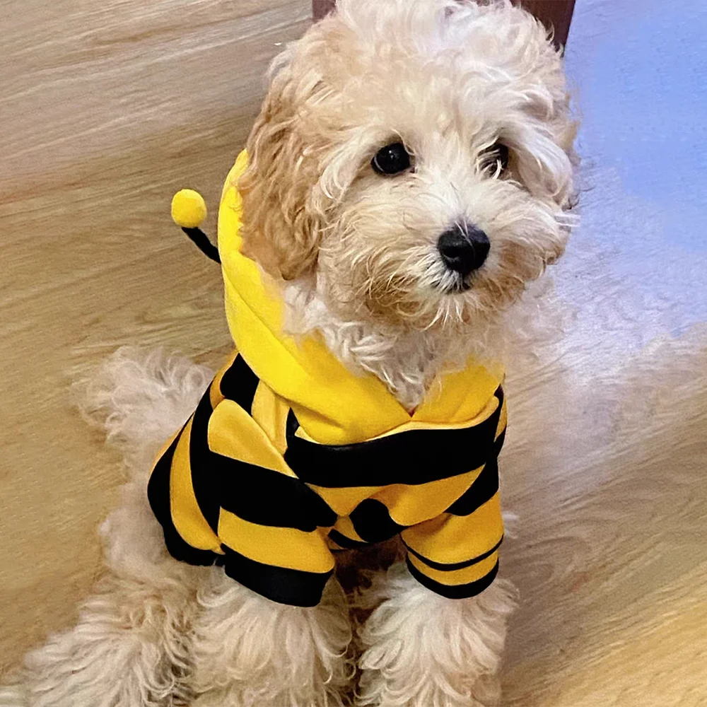 Bee Pet Costume Hoodie