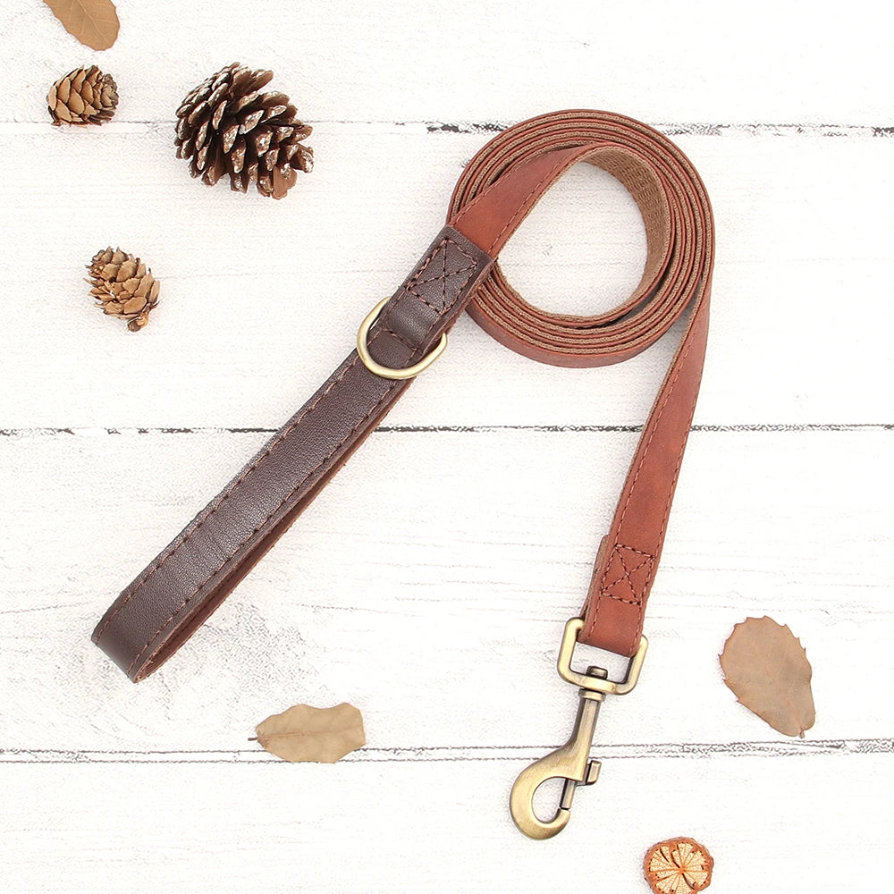 Personalized Dog Collar Leash