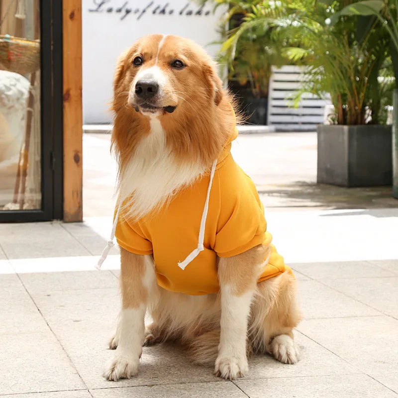 Cool Dog Hoodies: Cozy & Trendy Canine Attire
