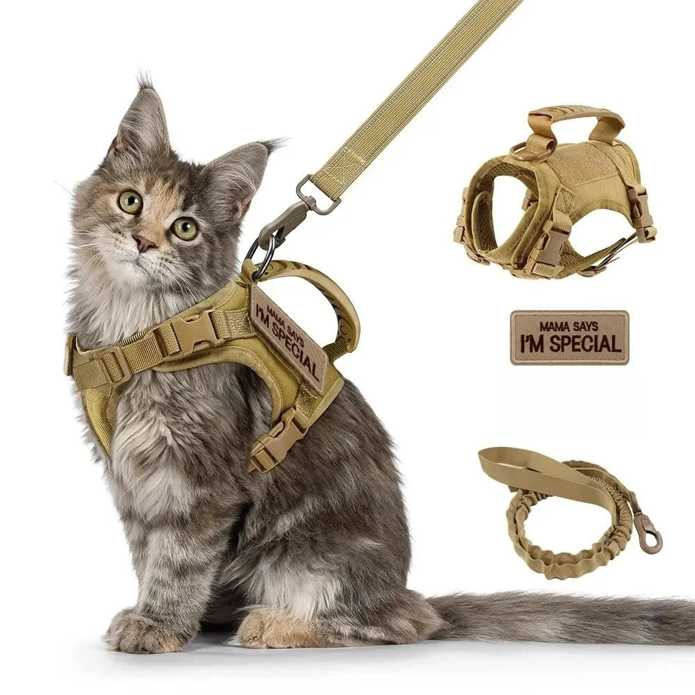 Tactical Cat Harness & Leash Set