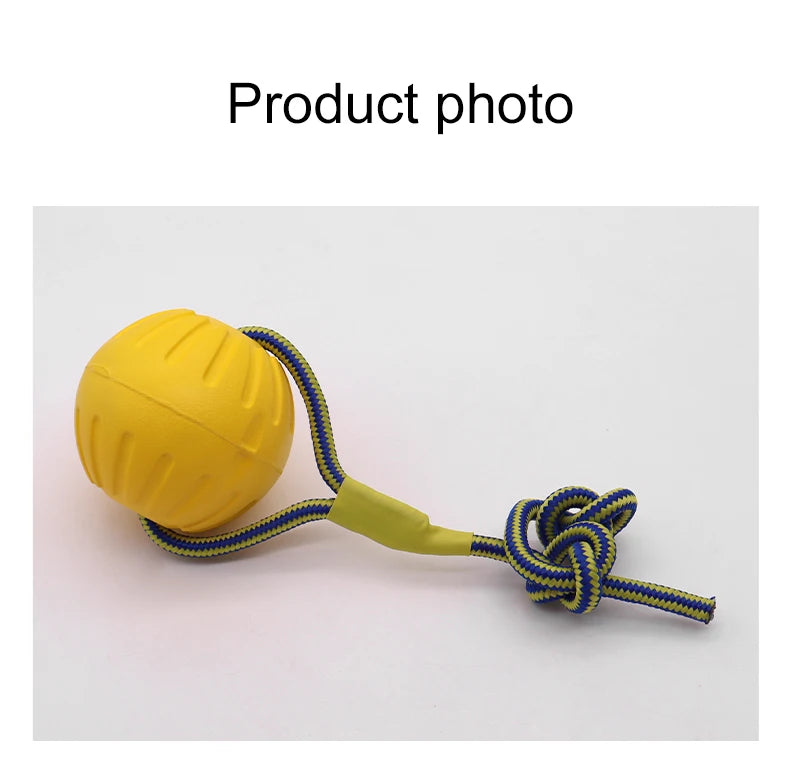 Interactive Pet Toy Ring