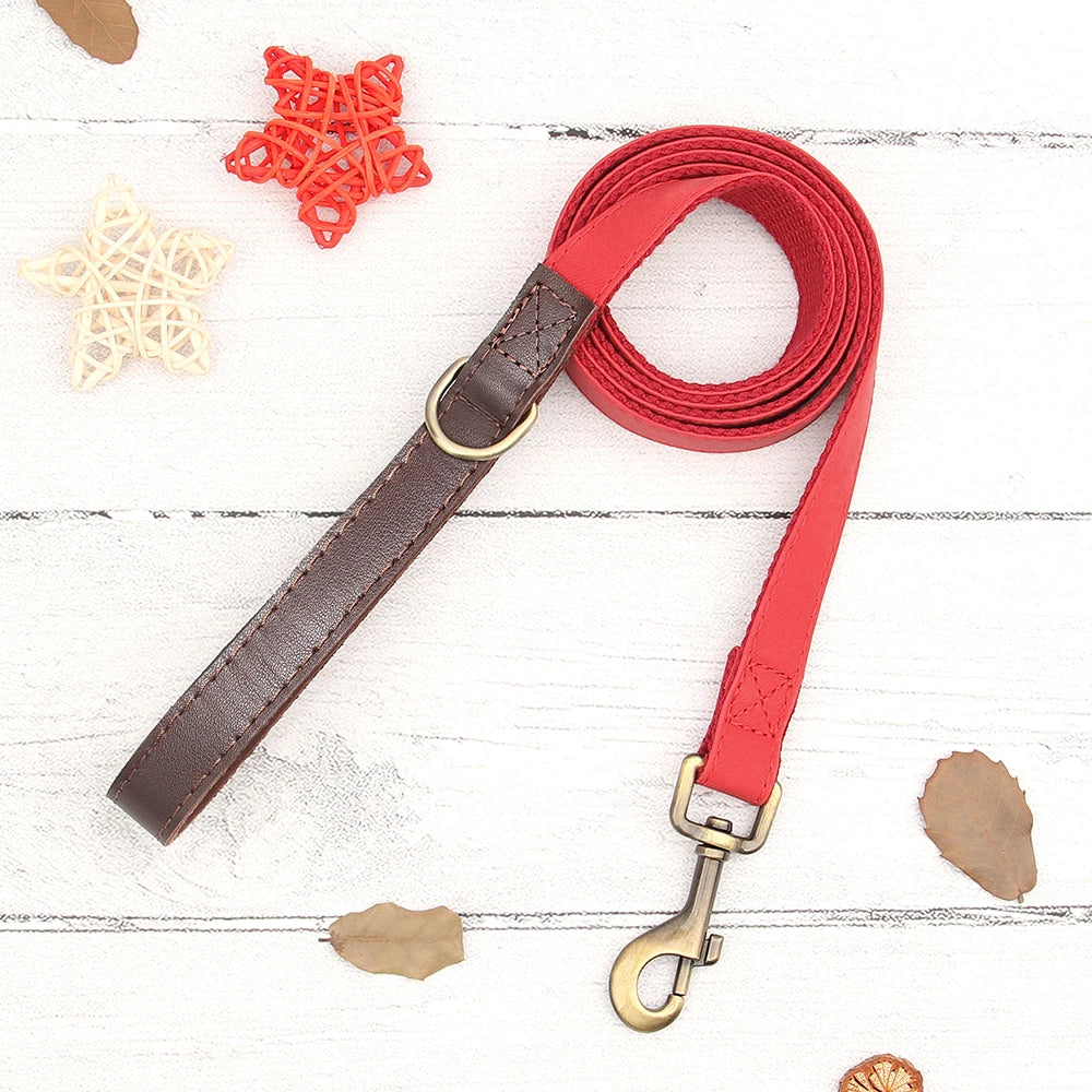 Personalized Dog Collar Leash