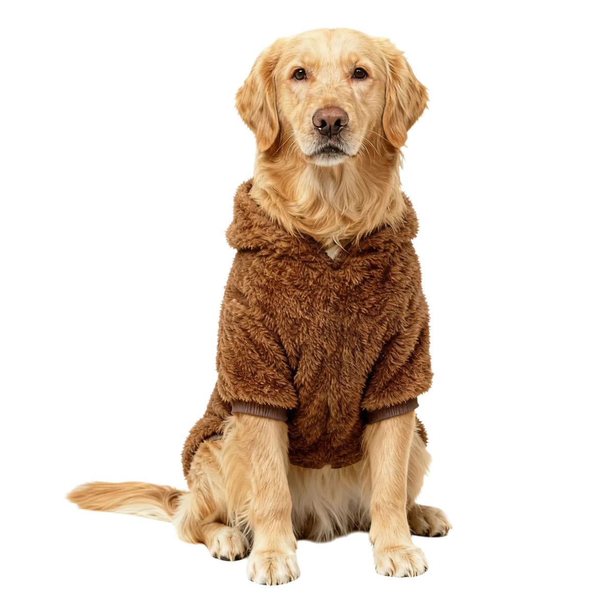 Cozy Dog Hooded Sweatshirt